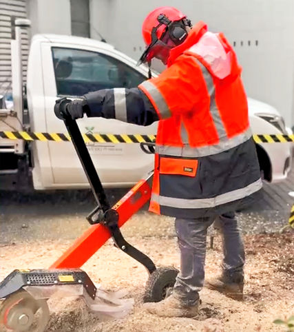 Stump grinding_edited.jpg