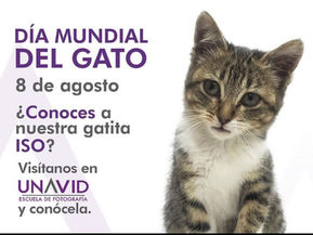 AGOSTO - BOLETÍN DEL MES