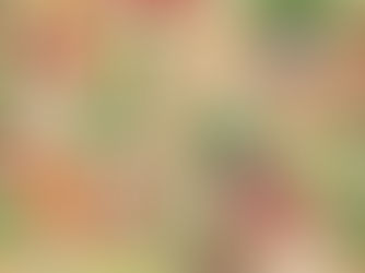 The Fiber Fix: A Gut-Friendly Approach to Managing GERD