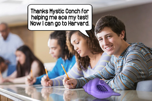 Mystic Conch Shell V4+ | MunnyGrubbers Mystic Conch Shell V4+ | MunnyGrubbers
