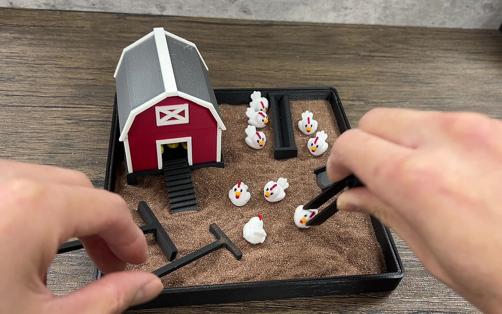 Thumbnail: Chicken Zen Garden