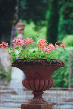 Details of Tuscan destination wedding, flowers and decoration, Italian wedding photographer