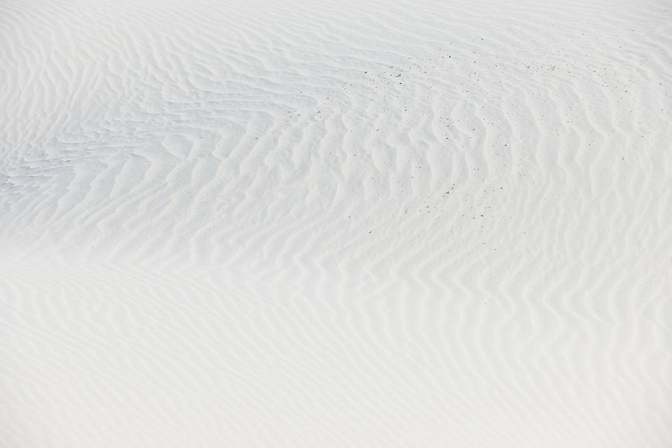 screen_2x (39).jpg