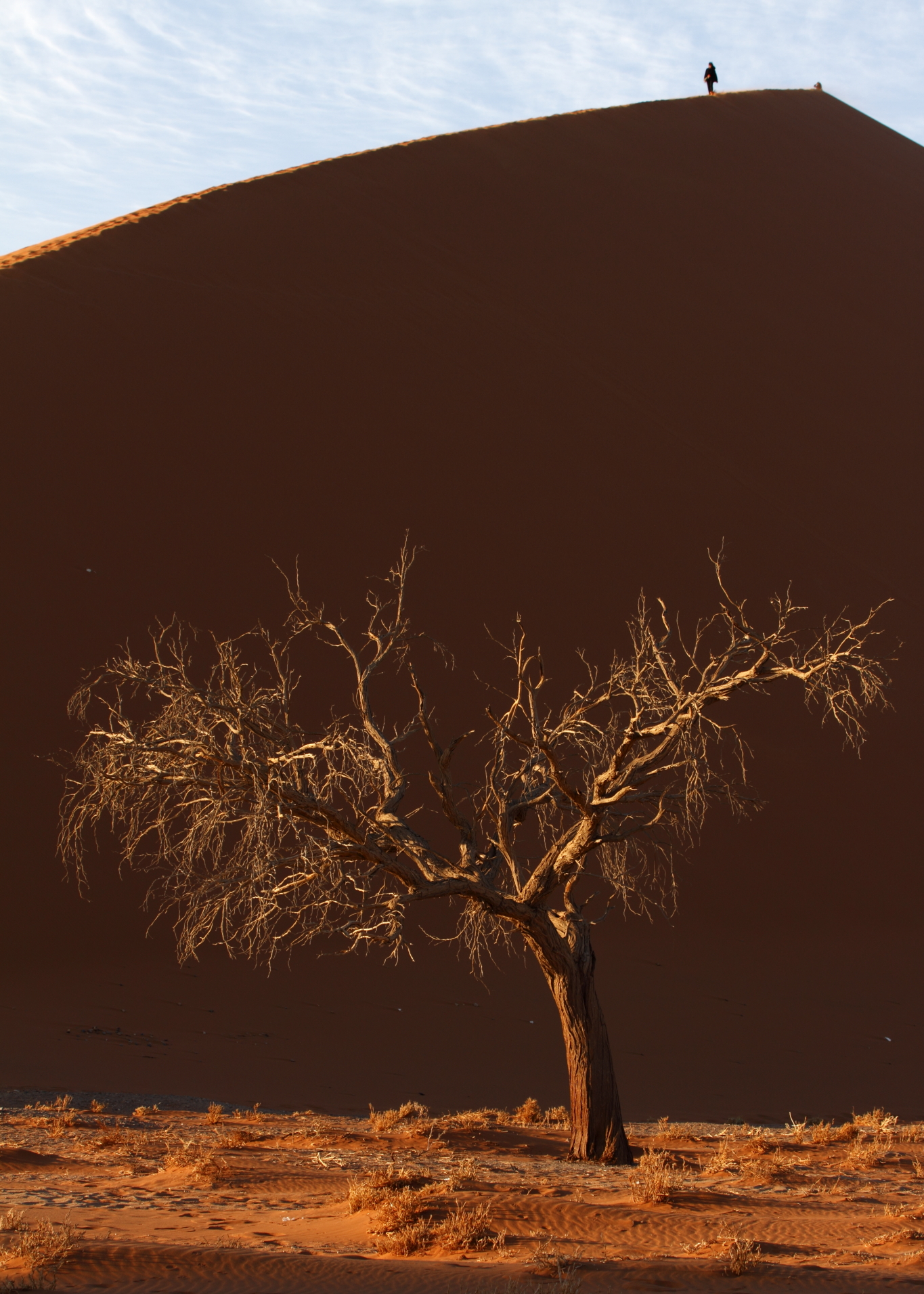 Solitude (Namibia, Dune 45)