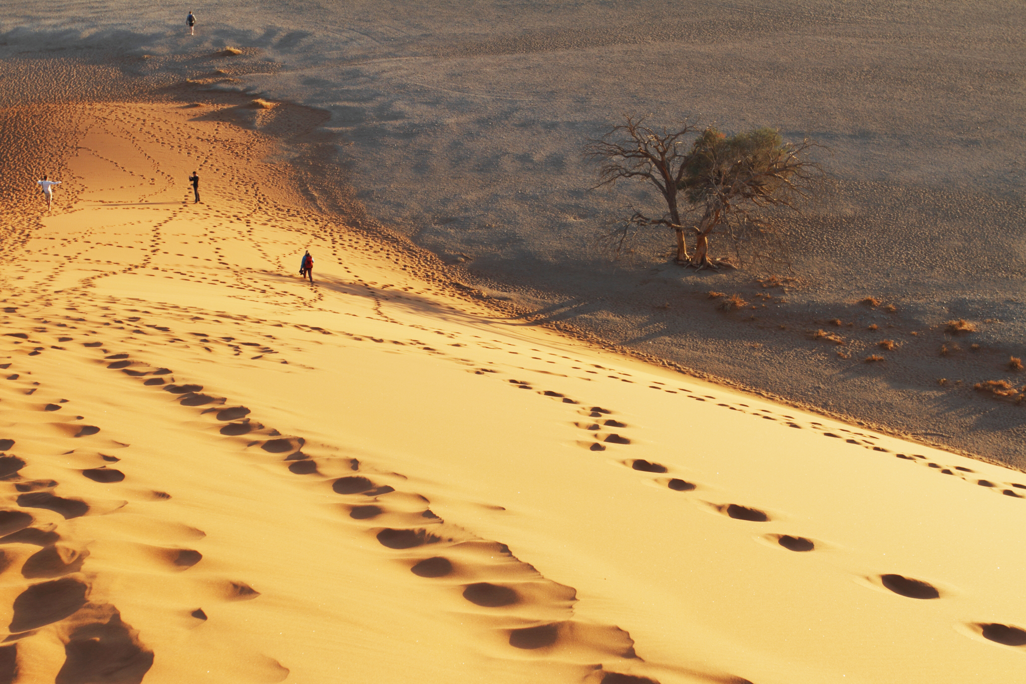 Footprints (Namibia, Dune 45)