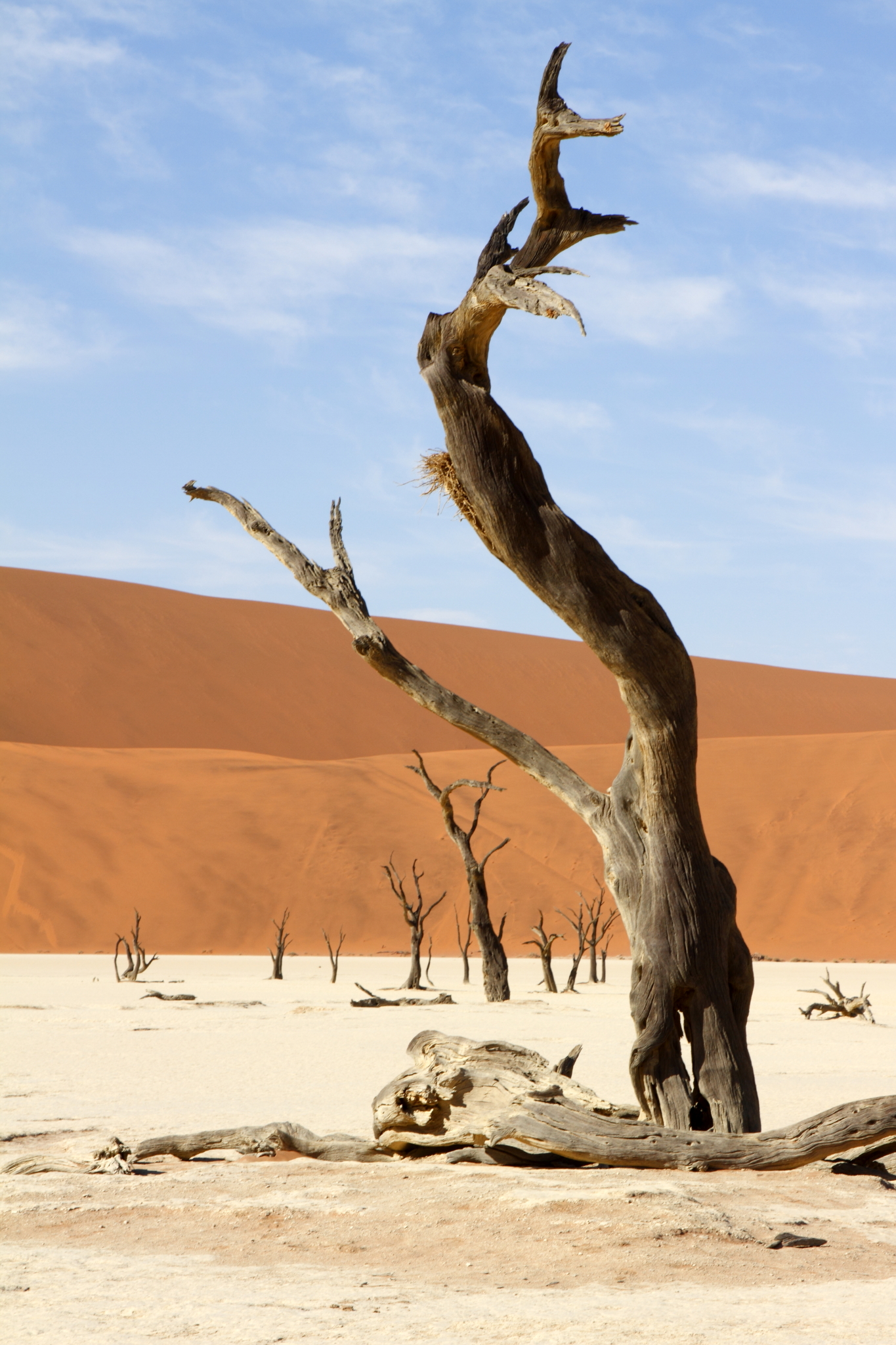 Namibia, Deadvlei