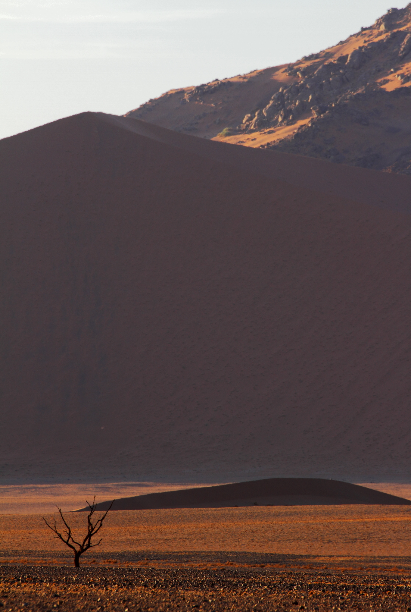 Alone (Namibia, Sossuvlei)