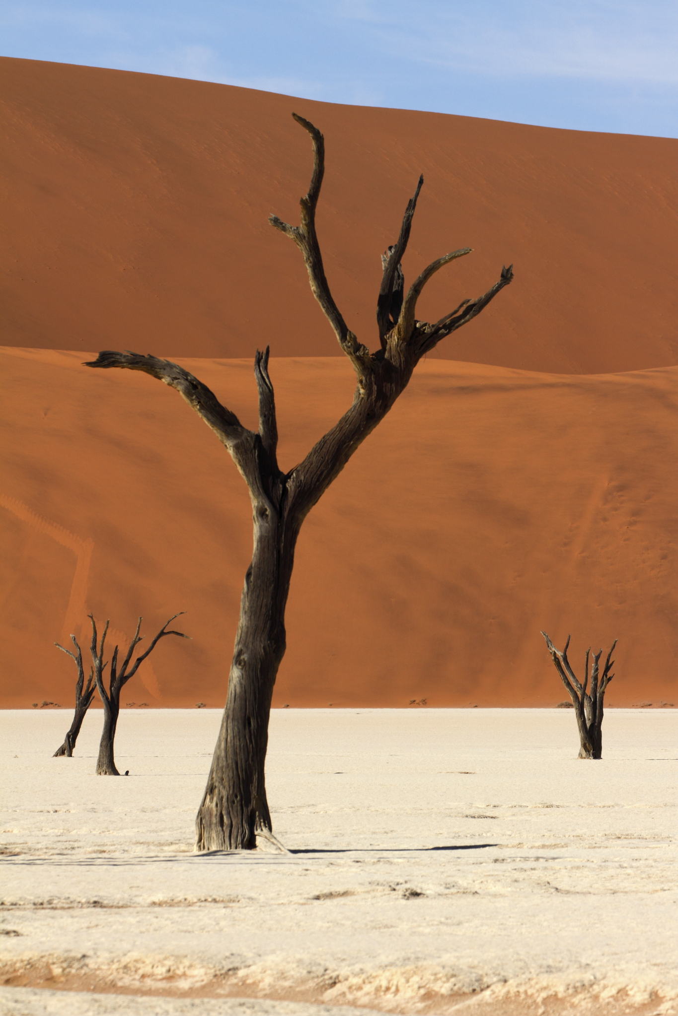 Stillness (Namibia, Deadvlei)