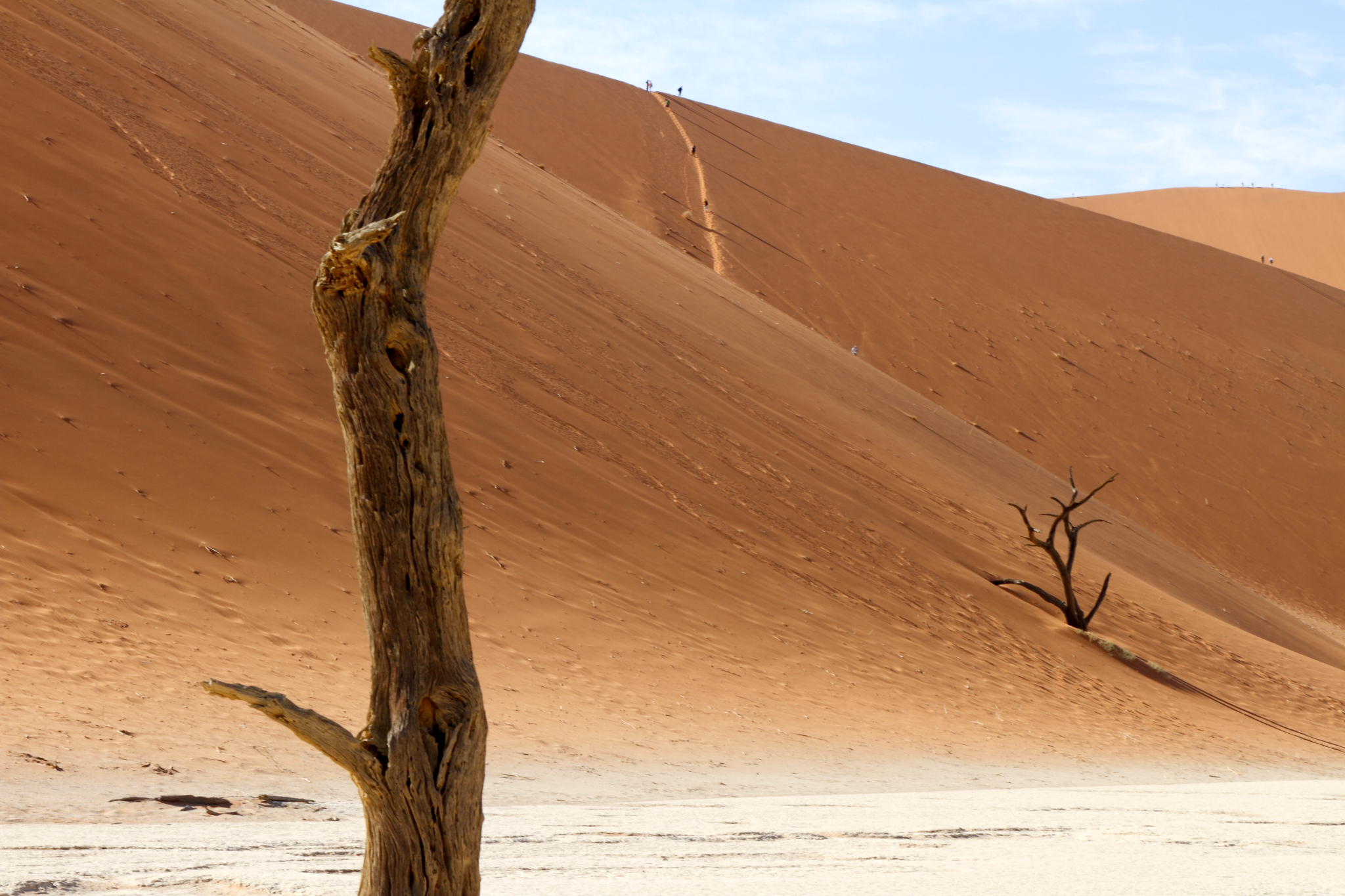 Duet (Namibia, Deadvlei)