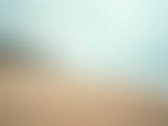 Best Coastal Decor Art Ideas for Your Home