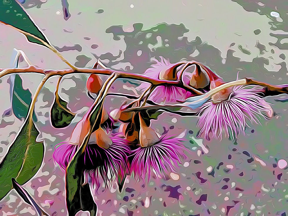 Bush Ballet- Digital Design by Shirley Adams Photography