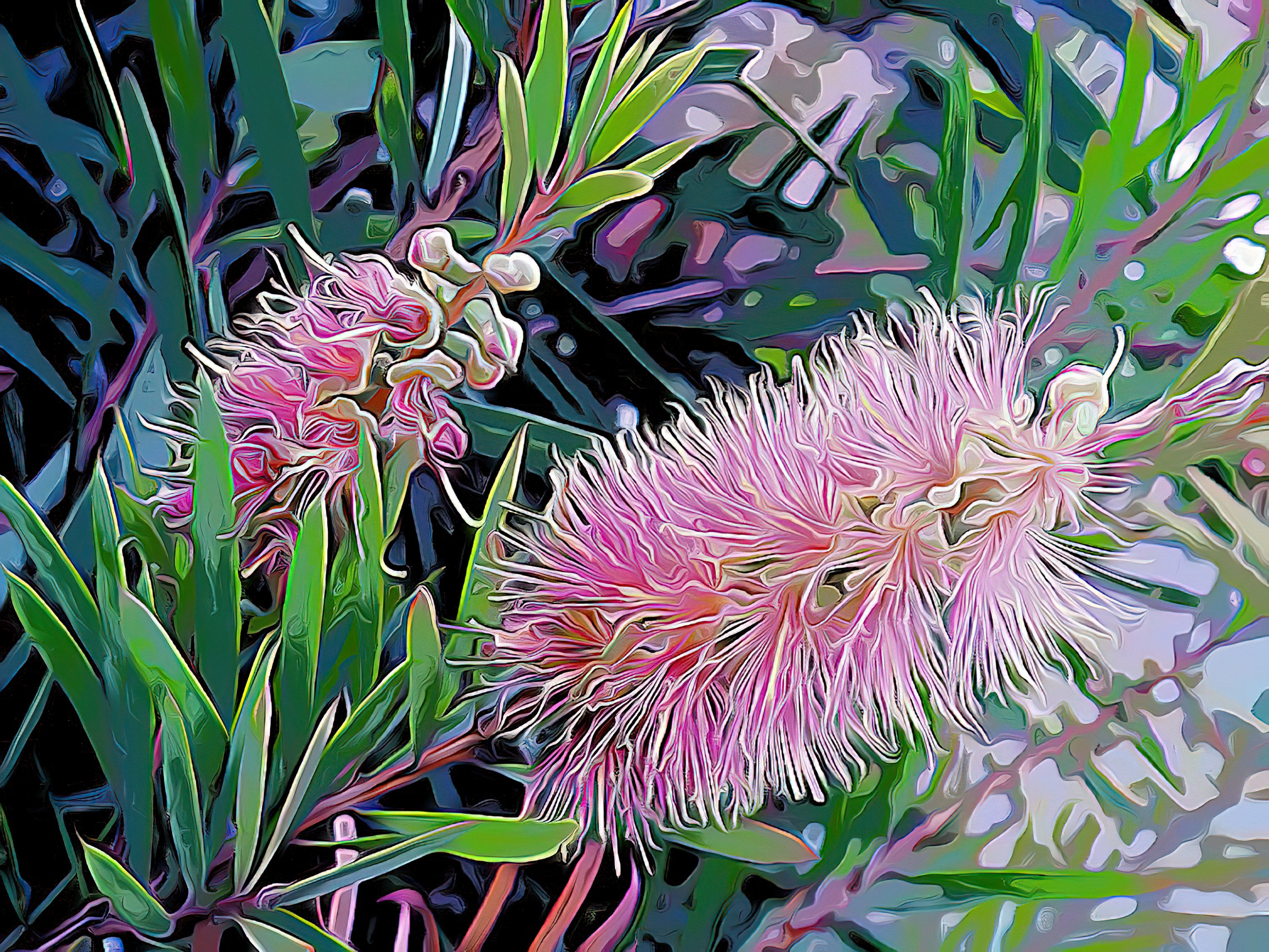Pink Botanical Burst (Premium)