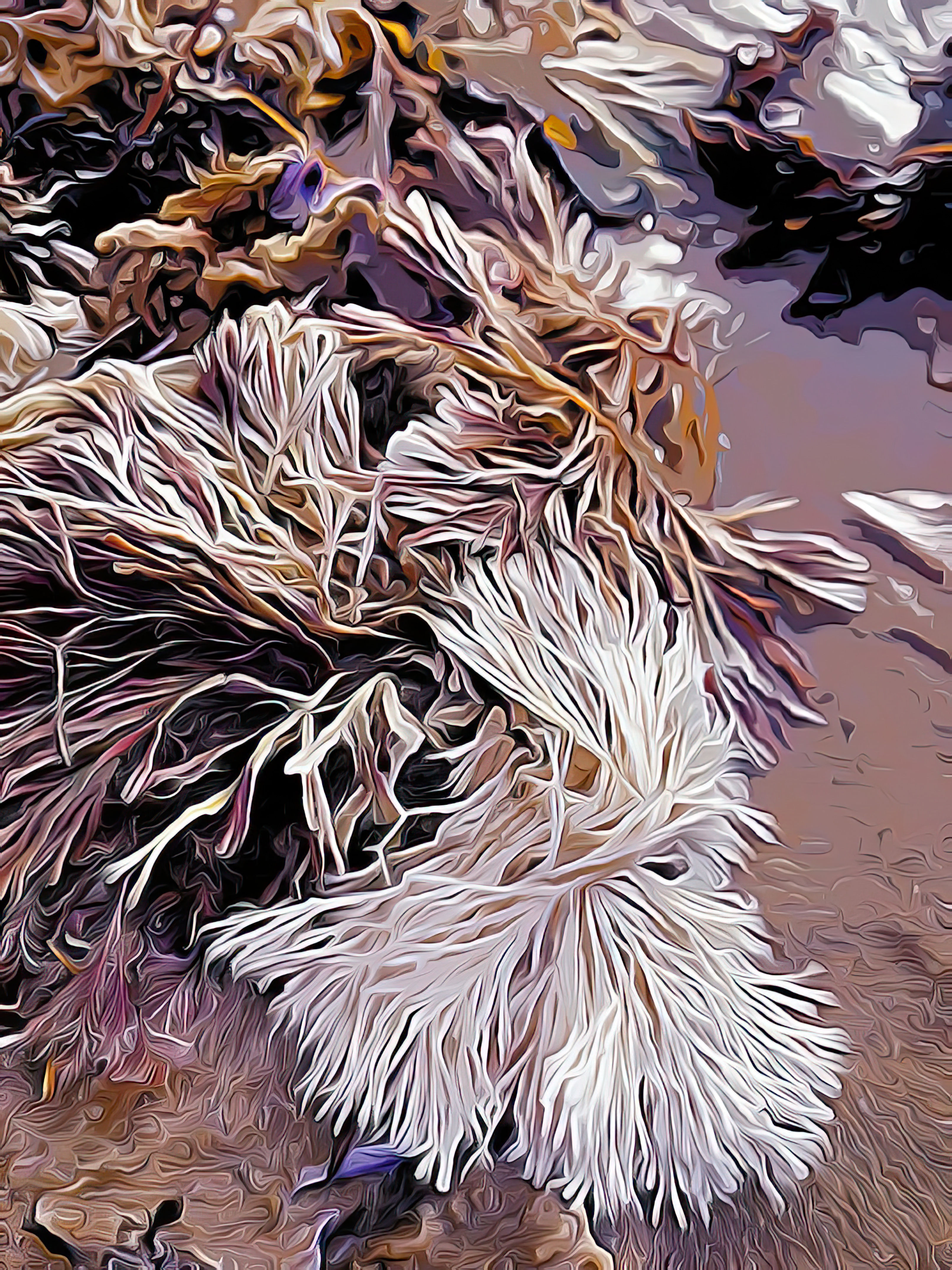 Ocean's Lace (Infinity)