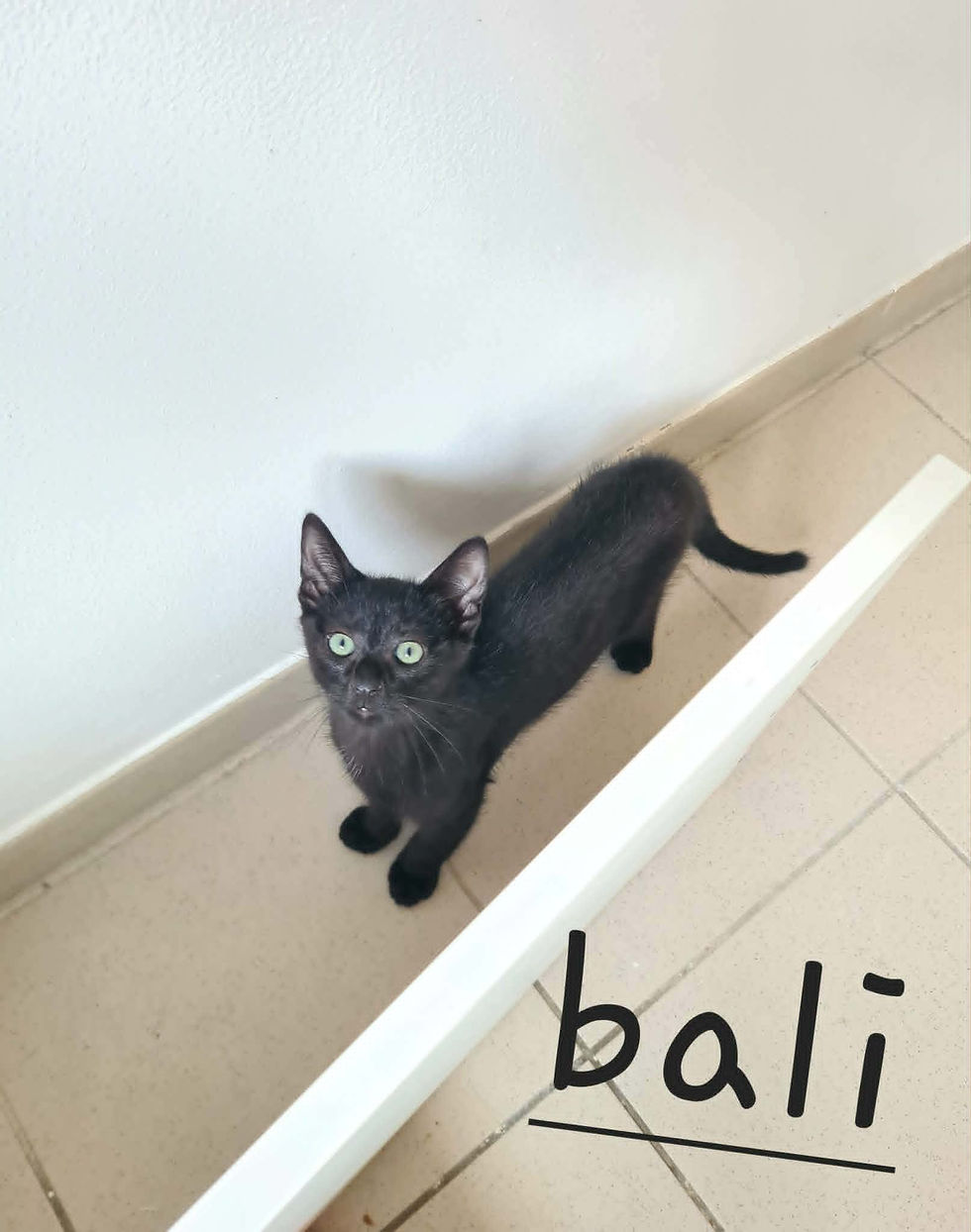Bali juillet 2026