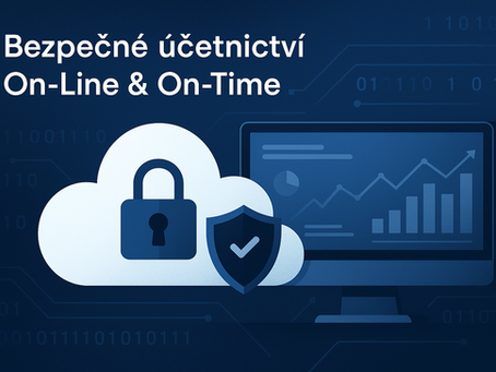 Kdo má kontrolu nad mými účetními daty a kdo za ně nese odpovědnost?