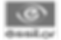 essilor-logoNB.png