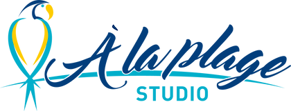 Logo_LAPLAGE_HORIZONTAL.png