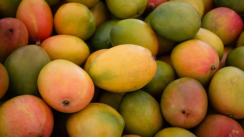 mangoes.jpg
