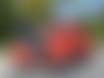 Car Show Story in Paso Robles Press