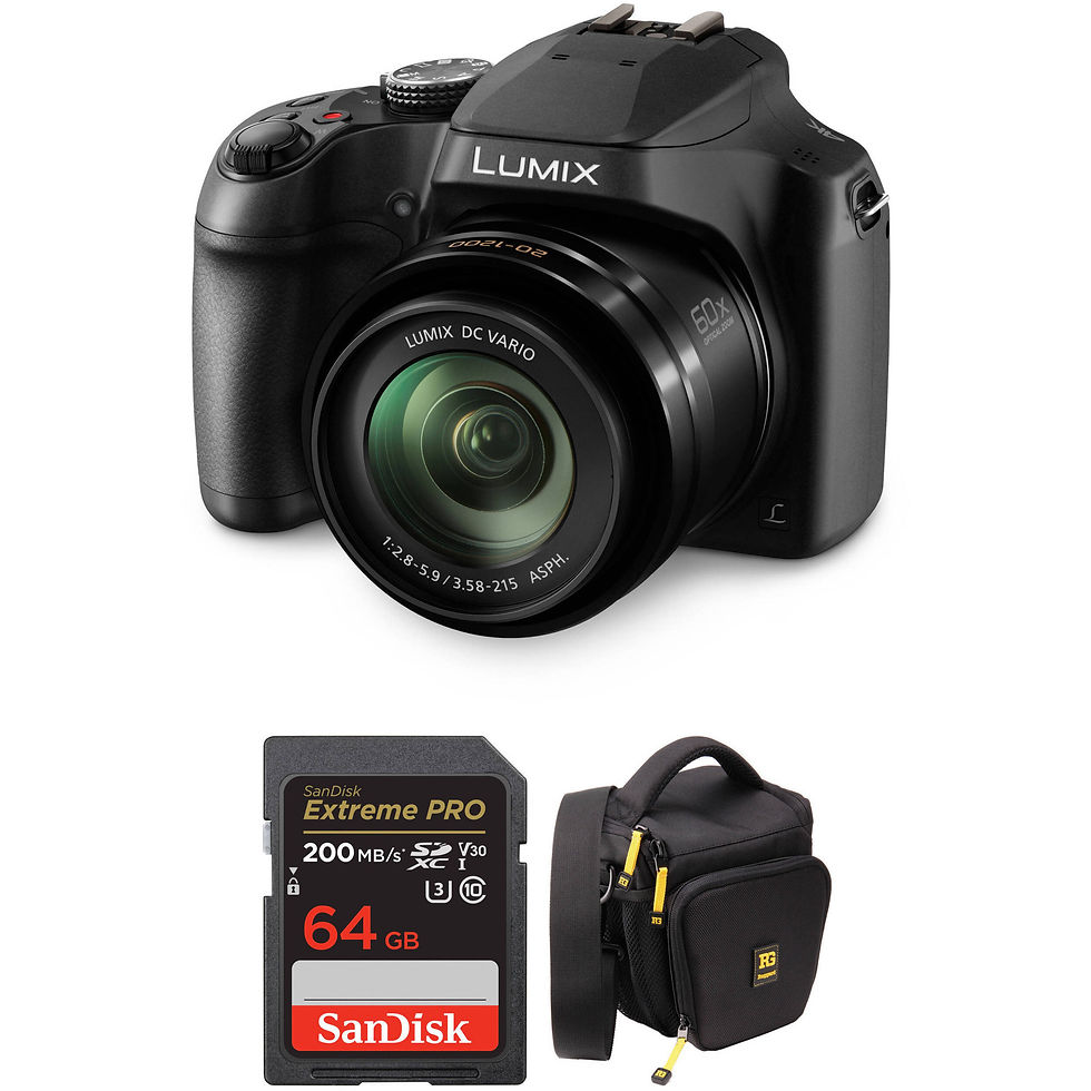 Miniatura: Panasonic Lumix Dc Fz 80 con kit (Mochila para camara y tarjeta Sandisk 64Gb)