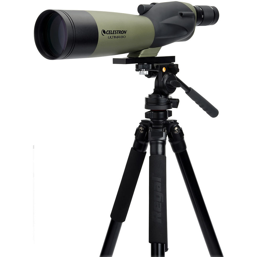 Celestron Ultima 80 60 x 80 (Vision directa)