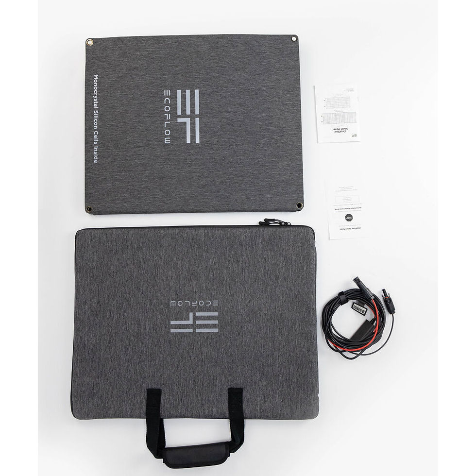 Miniatura: EcoFlow 110W