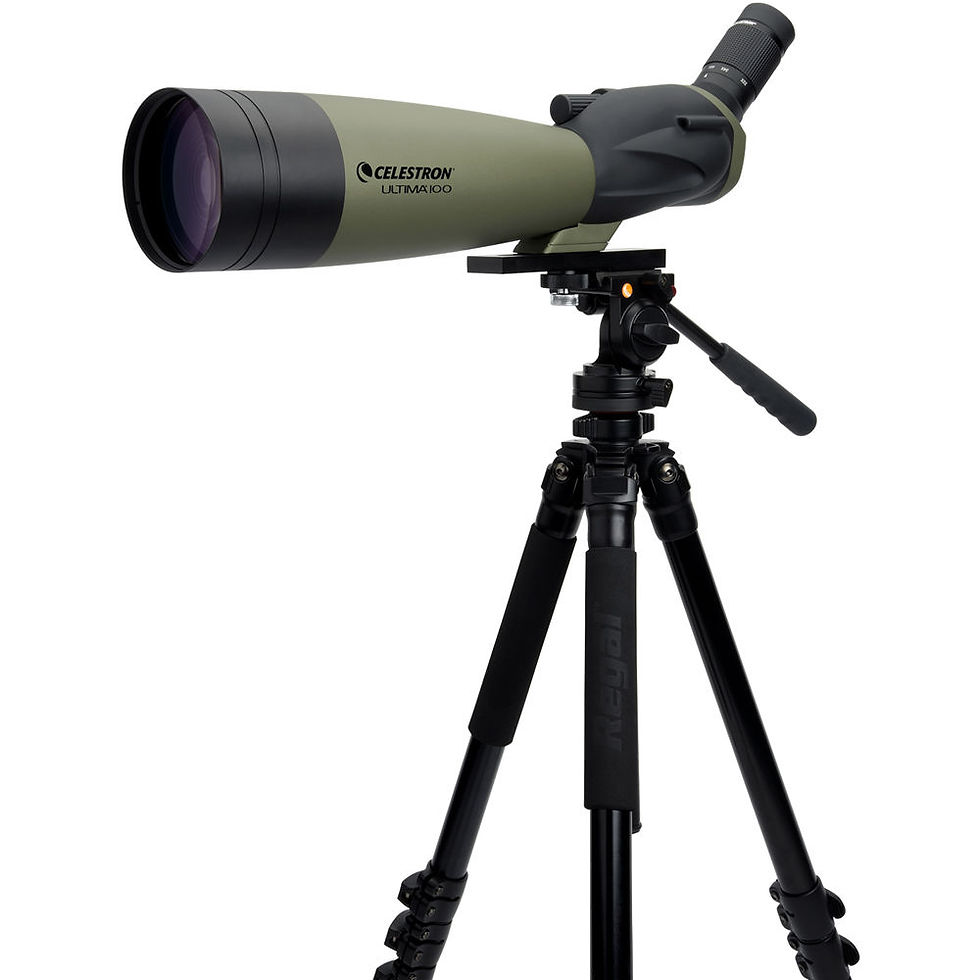 Celestron Ultima 100