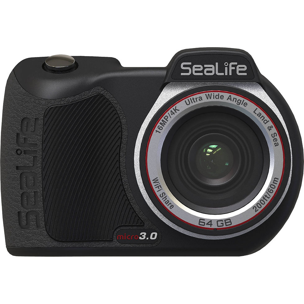 Miniatura: Sealife Micro 3.0