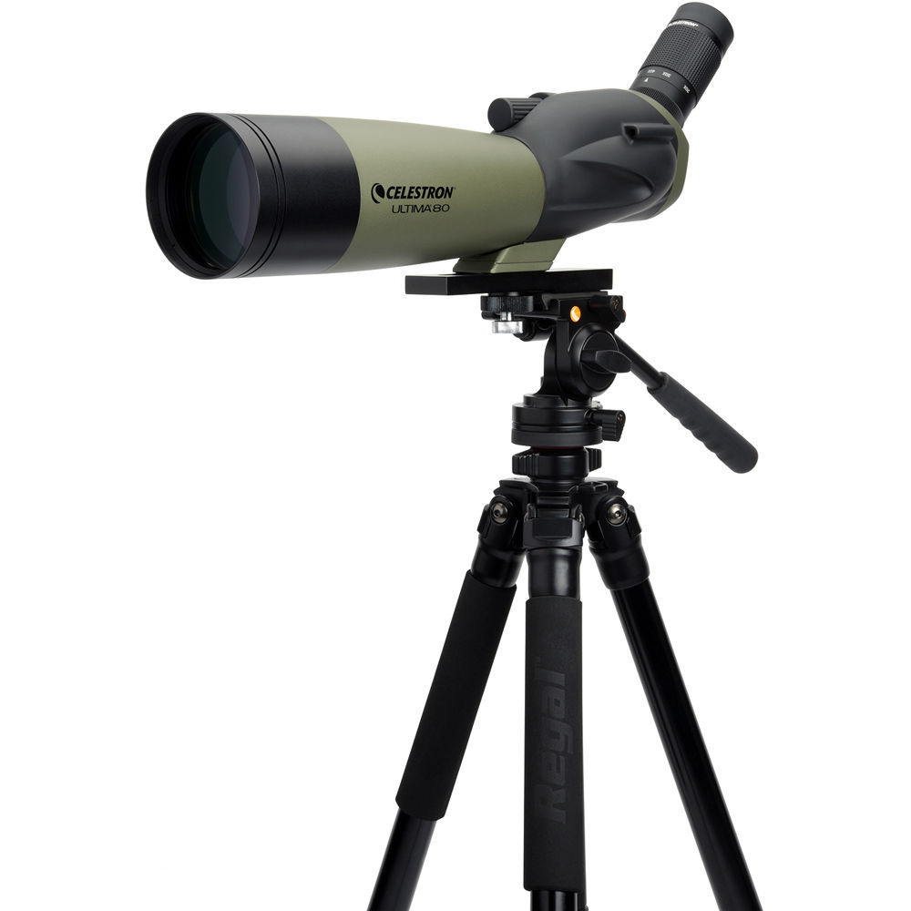 Celestron Ultima 80 60 x 80