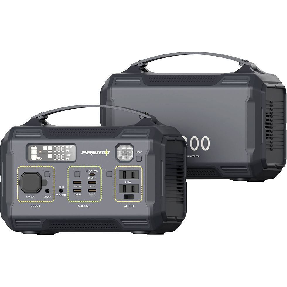 Miniatura: Fremo X300
