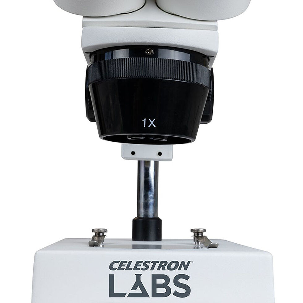 Miniatura: Celestron LABS S10 30N