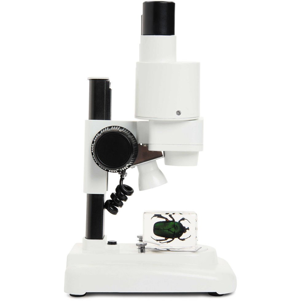 Miniatura: Celestron LABS S20