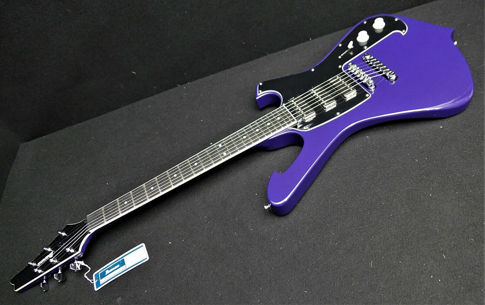 Ibanez Paul Gilbert Signature Fr 100