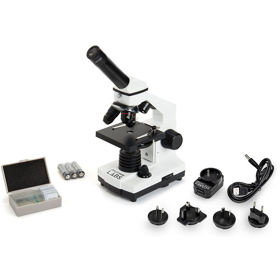 Miniatura: Celestron CM400