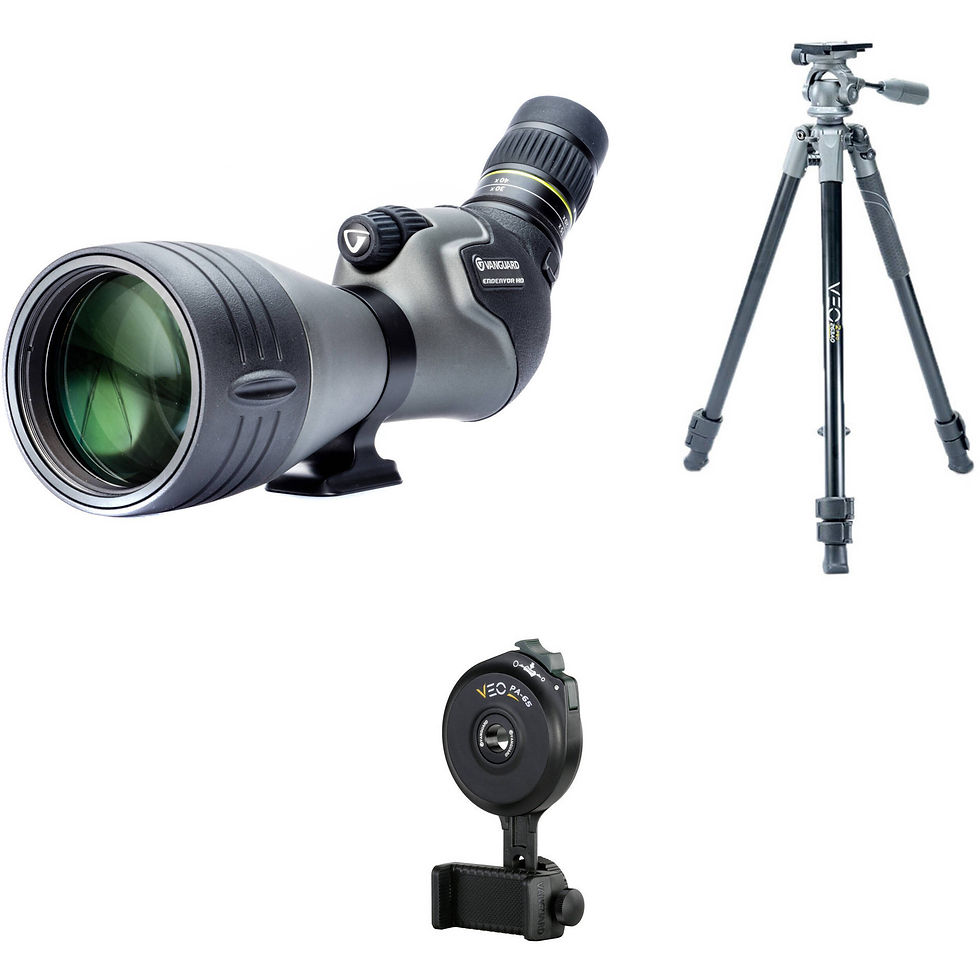 Vesta Vanguard Endearvor 60 x 82