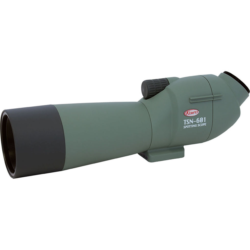 Miniatura: Kowa TSN 601