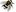 bee_edited.png
