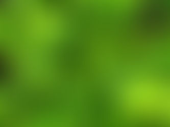 Perspektywa coachingu w Polsce