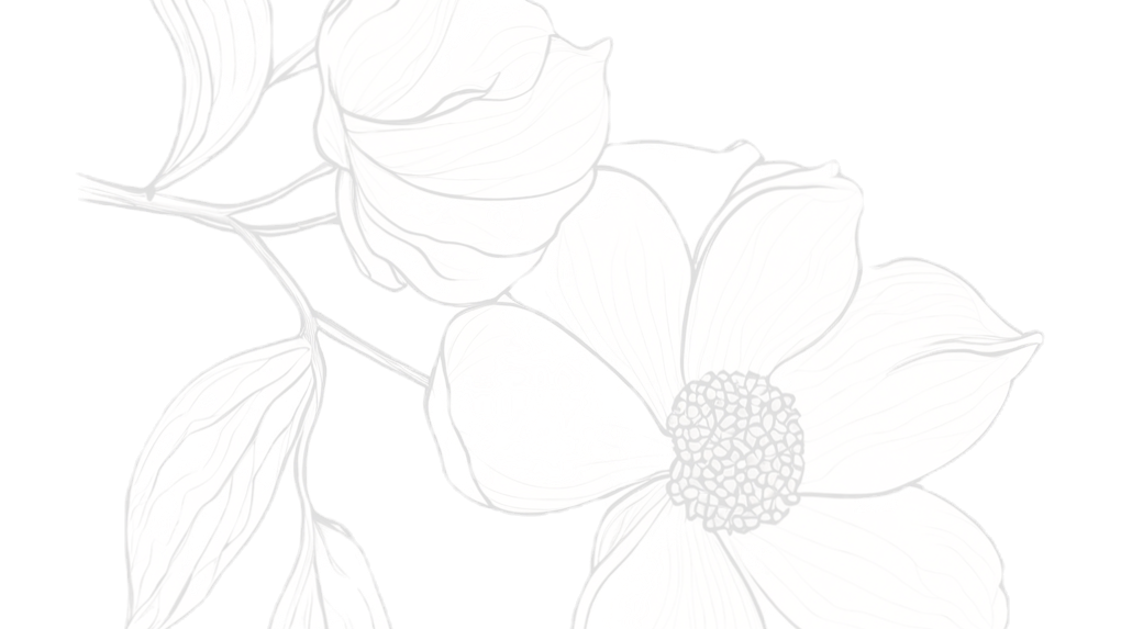 outline of dogwood flower_edited_edited_