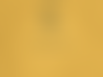 "Mīlestības ceļā" 132. diena