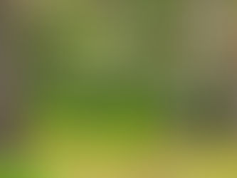 „Jo viena diena Tavā namā... „ Atskats uz Ģertrūdes Draudzes dienu