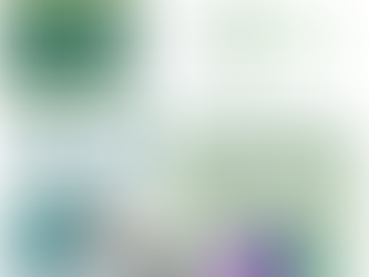 Mēneša finanšu pārskats