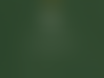 "Mīlestības ceļā" 182. diena