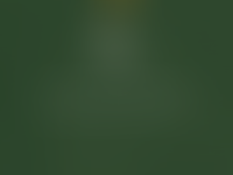 "Mīlestības ceļā" 14. diena