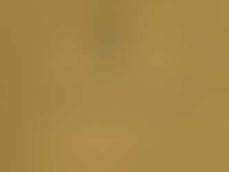 "Mīlestības ceļā" 195. diena