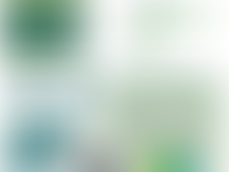 Mēneša finanšu pārskats