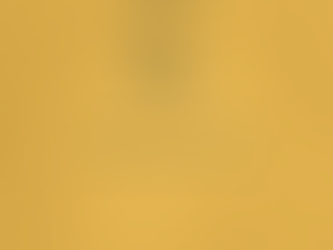 "Mīlestības ceļā" 102. diena