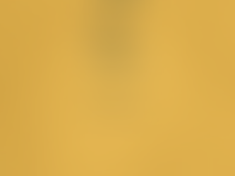 "Mīlestības ceļā" 243. diena