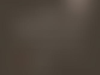 Svinēsim Ziemassvētkus mājās!