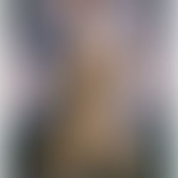 Alexander Hamilton prepares his 'Report on Defects in the Existing Laws of Revenue'